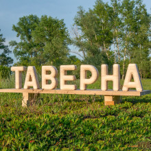 Буквы из дерева объёмные. Сосна. 